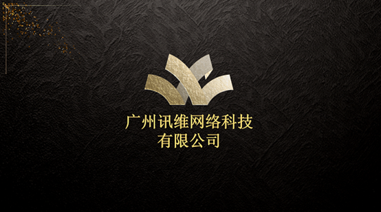 讯维网络科技